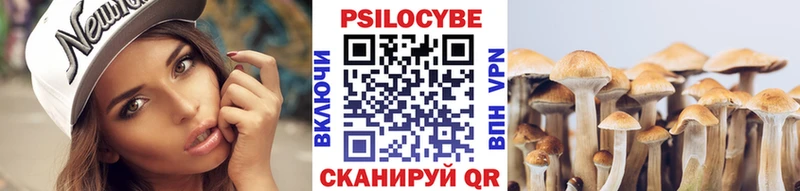 Псилоцибиновые грибы мицелий  ссылка на мегу зеркало  Армянск  как найти  
